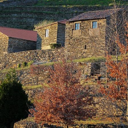 Villa Cardenha Do Douro Mesão Frio Zimmer foto