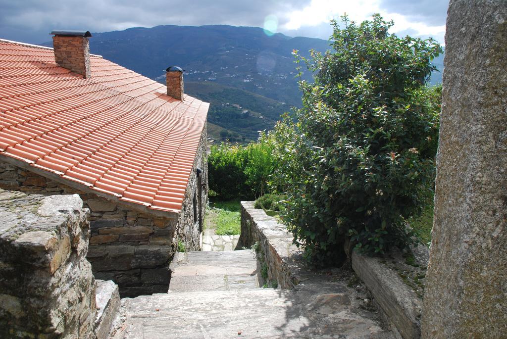 Villa Cardenha Do Douro Mesão Frio Zimmer foto