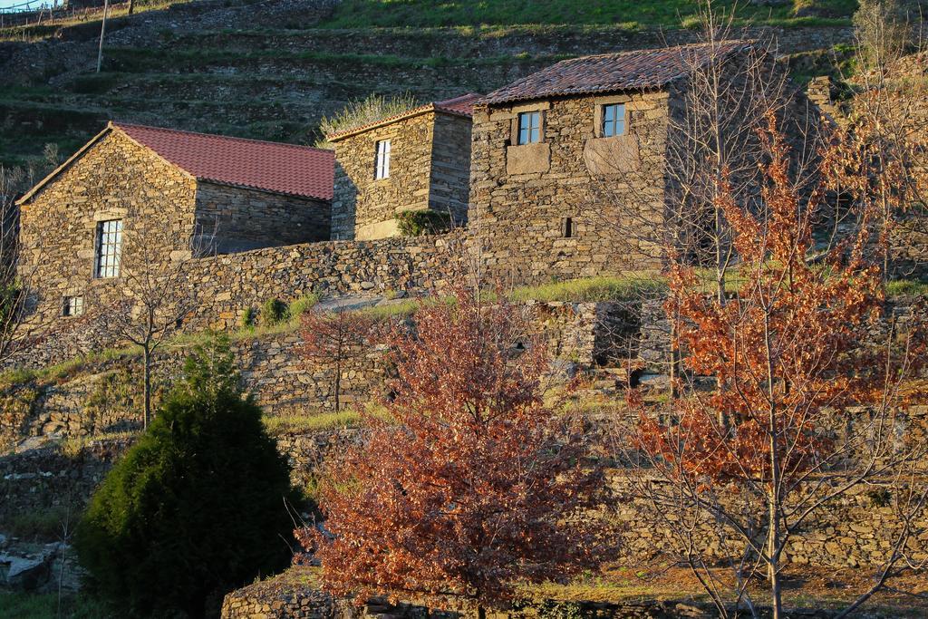 Villa Cardenha Do Douro Mesão Frio Zimmer foto